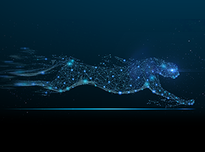 Speedy NVMe 5 Points to Consider